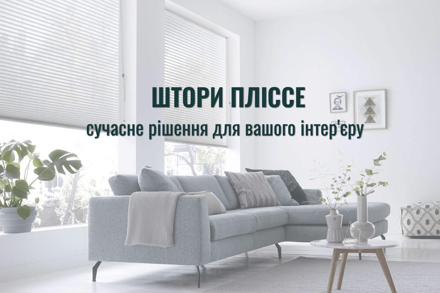Штори пліссе